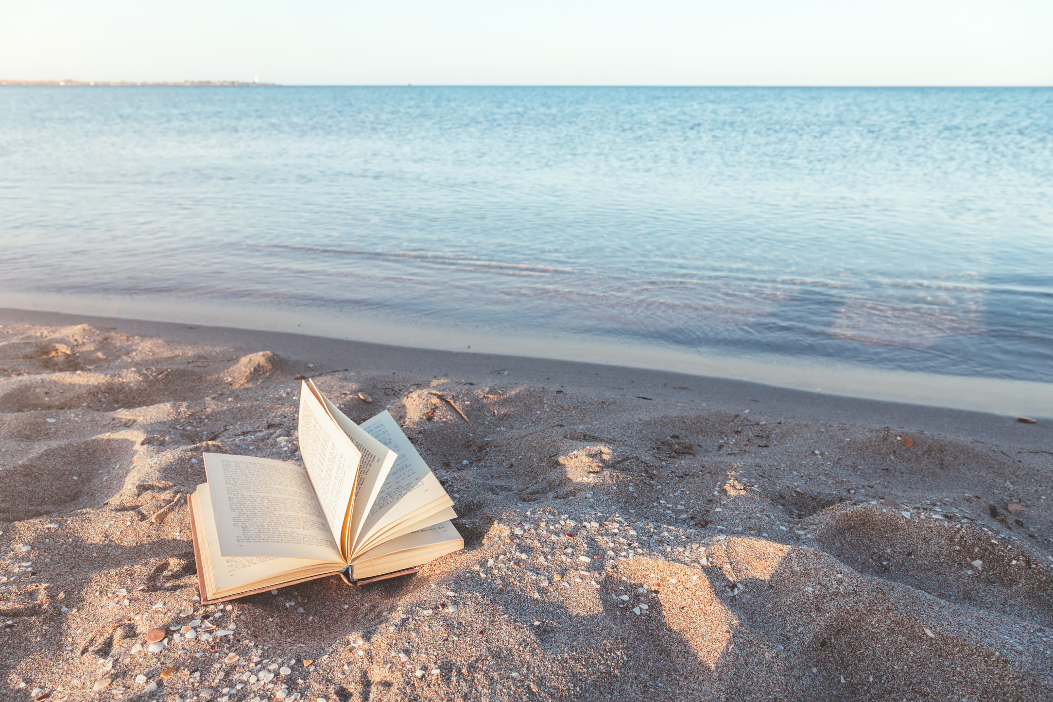 Reading Book near the Sea